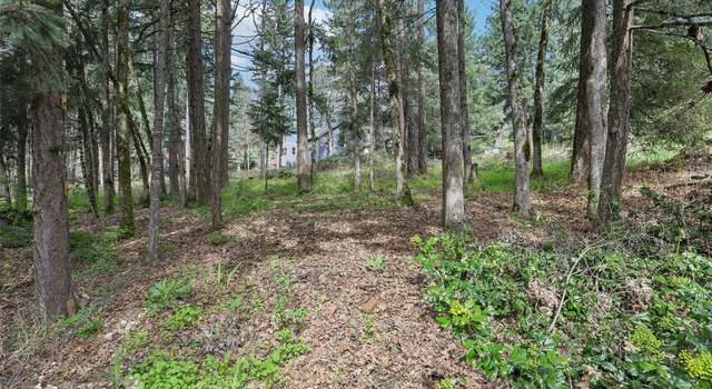 Photo of 0 Jewett Ln, White Salmon, WA 98672