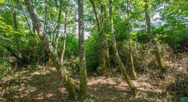 Photo of 0 XXX Lake Mastie Rd, Coupeville, WA 98239