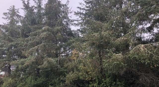 Photo of 649 Weatherwax Loop NE, Ocean Shores, WA 98569