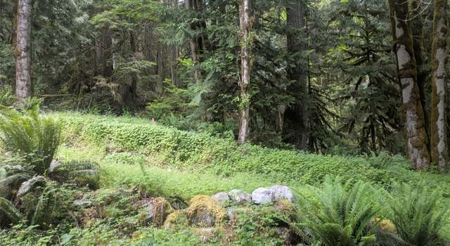 Photo of 64315 Lookout Mountain Loop Unit 1D170, Marblemount, WA 98267