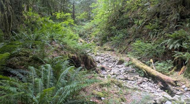Photo of 64315 Lookout Mountain Loop Unit 1D170, Marblemount, WA 98267