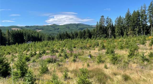 Photo of 0 Pe Ell McDonald Rd, Boistfort, WA 98532