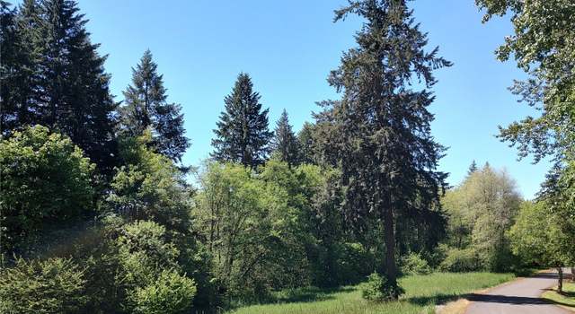 Photo of 0 NE 294th Cir, La Center, WA 98629
