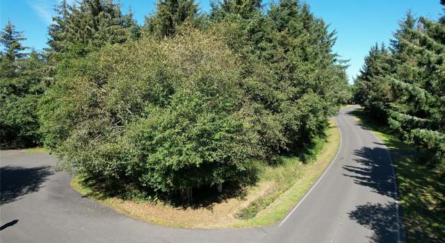 Photo of 768 Sandpiper Ct SE, Ocean Shores, WA 98569