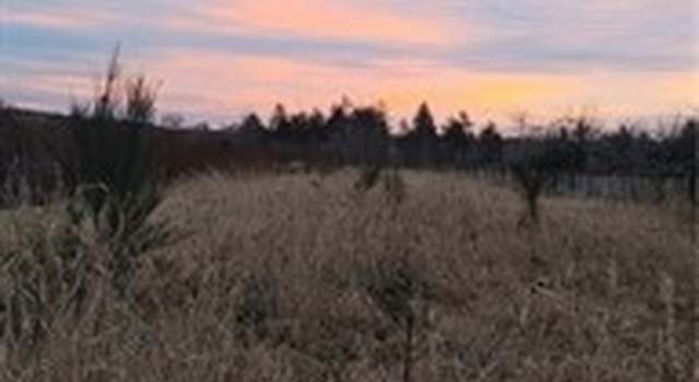 Photo of 3 xx First St, Cosmopolis, WA 98537