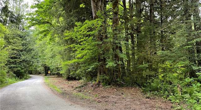 Photo of 0 Emerald Ln, Marblemount, WA 98267