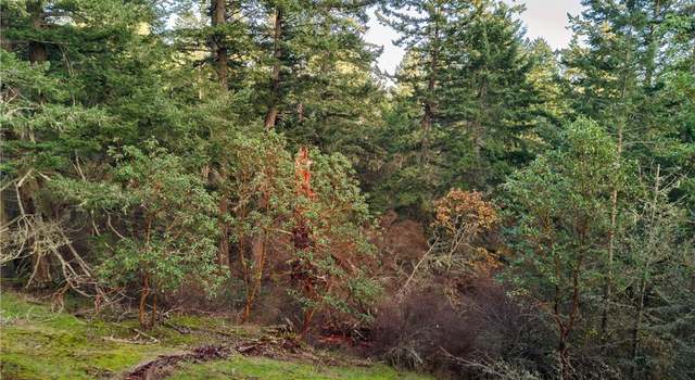 Photo of 1 Parcel H Sandwith Rd, Friday Harbor, WA 98250