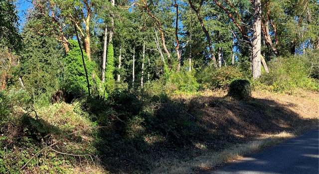 Photo of 175 Brick Kiln Rd, Fox Island, WA 98333