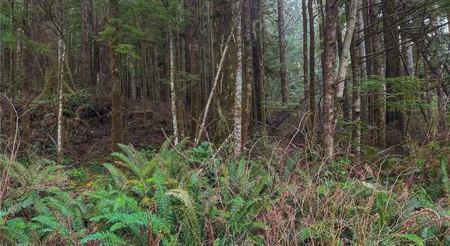 Photo of 0 TR 15 Salal Dr, Copalis Beach, WA 98535