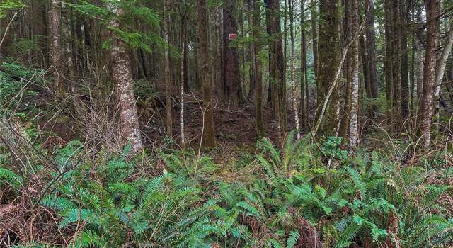 Photo of 0 TR 15 Salal Dr, Copalis Beach, WA 98535