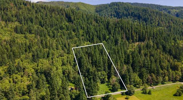 Photo of 33311 Mount Tahoma Canyon Rd E, Ashford, WA 98304