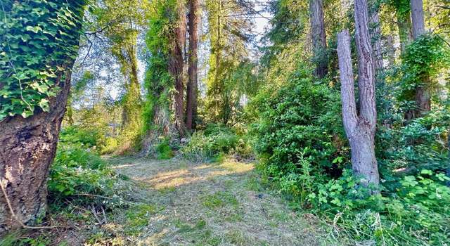 Photo of 0 Lot 2 Enchanted Forest Rd, Orcas Island, WA 98245
