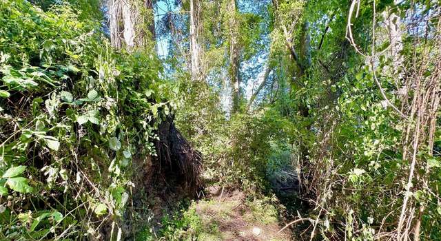 Photo of 0 Lot 2 Enchanted Forest Rd, Orcas Island, WA 98245