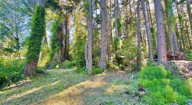 Photo of 0 Lot 2 Enchanted Forest Rd, Orcas Island, WA 98245