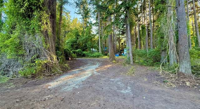 Photo of 0 Lot 2 Enchanted Forest Rd, Orcas Island, WA 98245