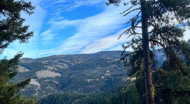 Photo of 0 xxx Coogen Creek Rd, Wauconda, WA 98859