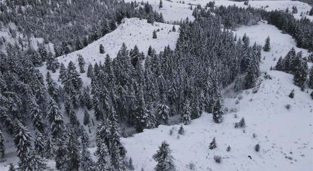 Photo of 0 Lot 38 Mountain View Rd, Oroville, WA 98844