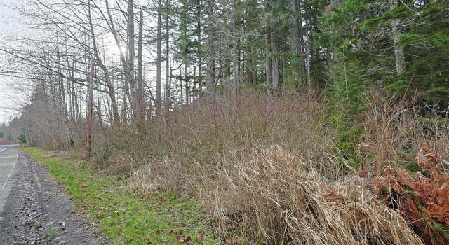Photo of 0 Skate Creek Rd N, Eatonville, WA 98328