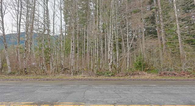 Photo of 0 Skate Creek Rd N, Eatonville, WA 98328