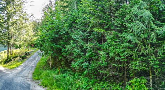Photo of 0 Creek Ct, Brinnon, WA 98320