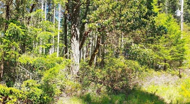 Photo of 12121 Sunset Pl, Anderson Island, WA 98303
