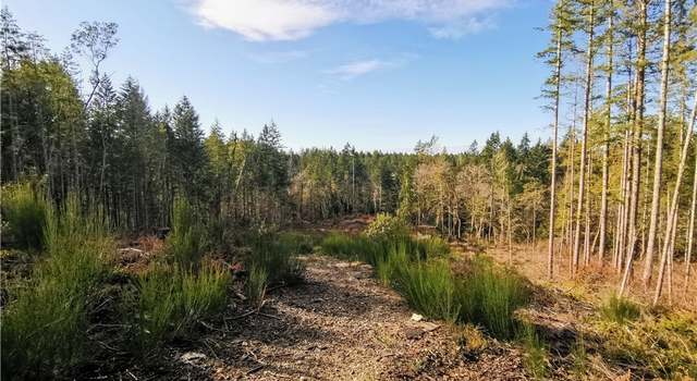 Photo of 0 208th Ave SW, Lakebay, WA 98349