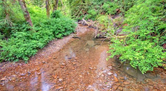 Photo of 3 Parpala Rd #3, Naselle, WA 98638