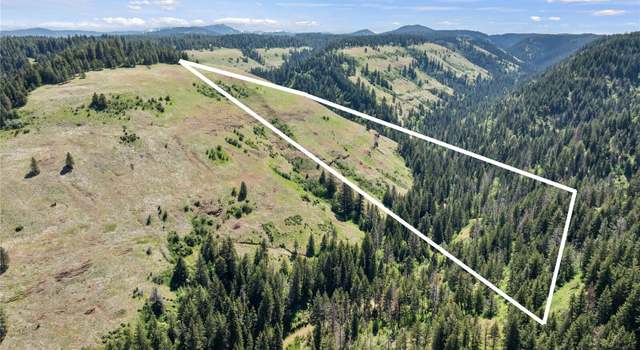 Photo of 0 Scott Rd, Dixie, WA 99329