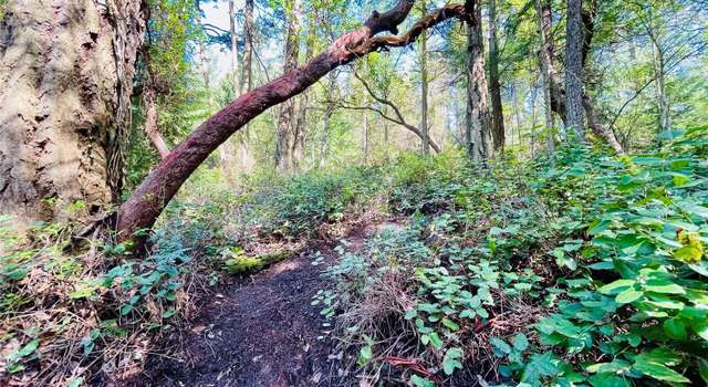 Photo of 0 Madrona Dr, Friday Harbor, WA 98250