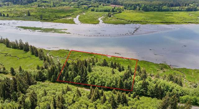 Photo of 0 Lot SR 4 #3, Naselle, WA 98638