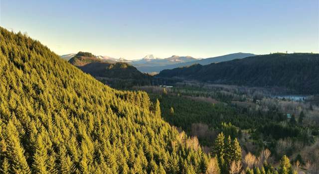 Photo of 127 Scott Rd, Glenoma, WA 98336