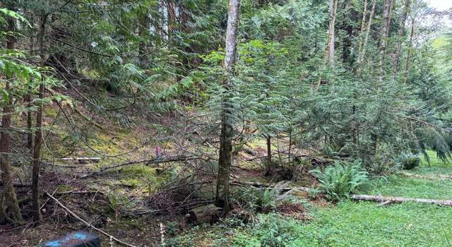 Photo of 17 Black Bear Ct, Bellingham, WA 98229
