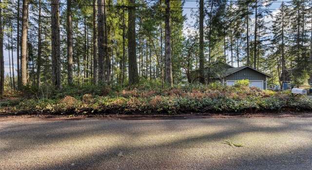 Photo of 2820 E Phillips Lake Loop Rd, Shelton, WA 98584