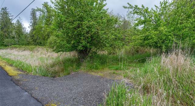 Photo of 0 Crabill Rd, Toutle, WA 98649