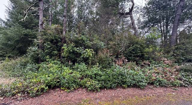 Photo of 0 R St, Ocean Park, WA 98640