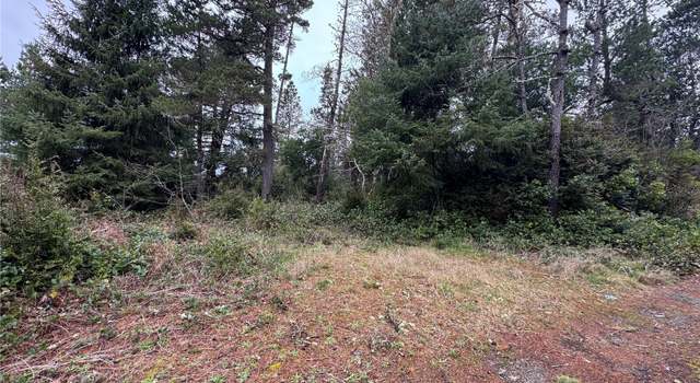 Photo of 0 R St, Ocean Park, WA 98640