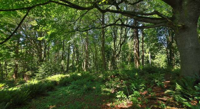Photo of 0 XXX Cultus Bay Rd, Clinton, WA 98236