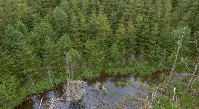 Photo of 0 Eden Valley Rd, Rosburg, WA 98643