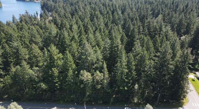 Photo of 10201 Eckenstam Johnson Rd, Anderson Island, WA 98303