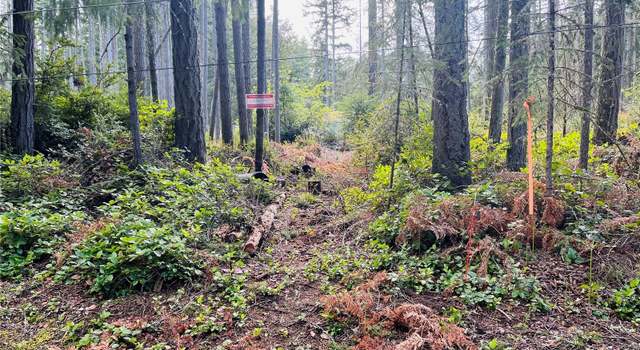 Photo of 10306 Port Pl, Anderson Island, WA 98303
