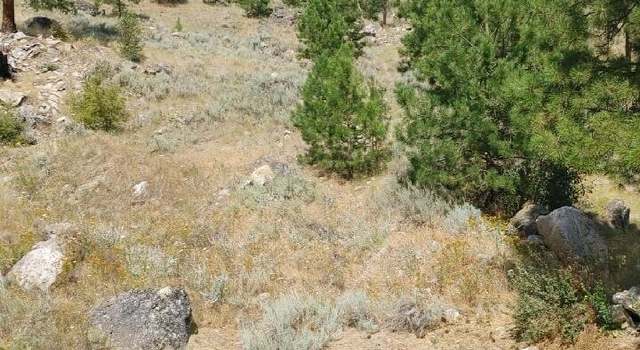 Photo of 83 E Cayuse Mountain Rd, Tonasket, WA 98855