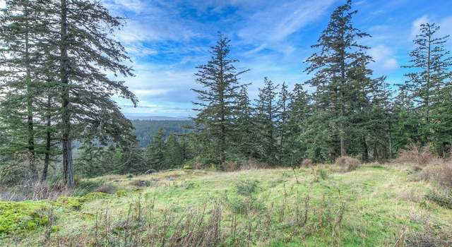 Photo of 0 2 NW Rustic Homestead Ln, Orcas Island, WA 98280