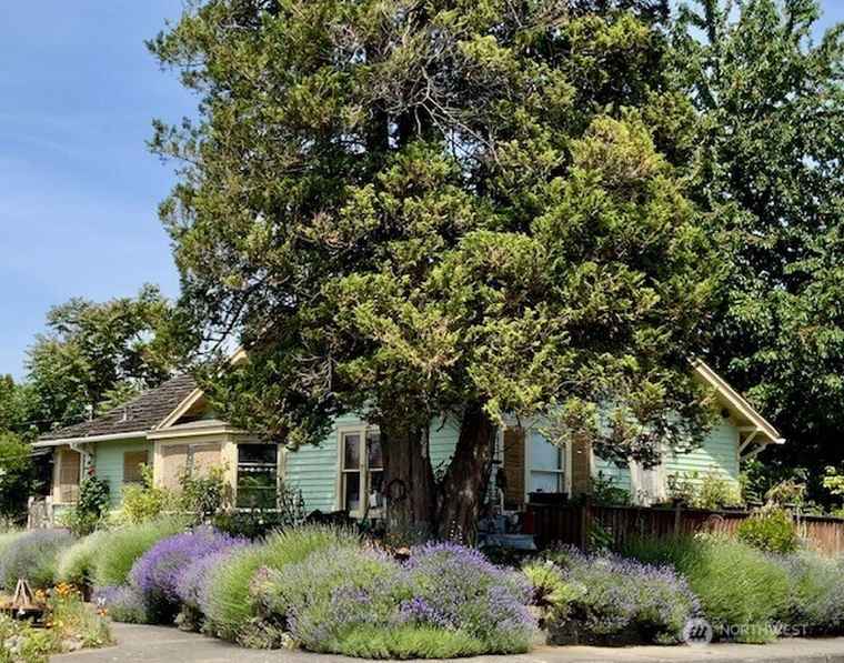 Photo of 310 13th St SE Puyallup, WA 98372