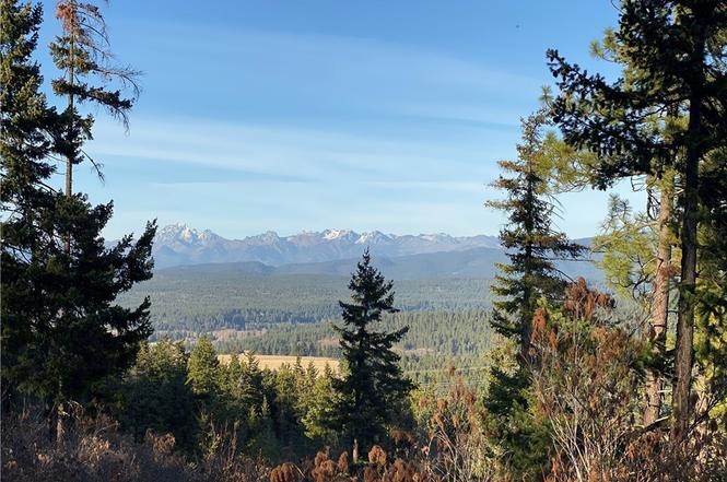 8440 Upper Peoh Point Rd Cle Elum Wa 98922 Mls 1537181 Redfin 8440 Upper Peoh Point Rd Cle Elum Wa 98922 Mls 1537181 Redfin