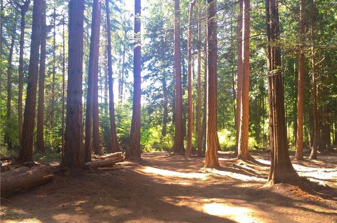 192 Beach Haven Rd Orcas Island Wa 98245 Mls 973732 Redfin 192 Beach Haven Rd Orcas Island Wa 98245