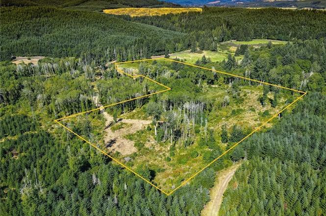 0 Lost Valley Rd, Curtis, WA 98532 | MLS# 1764741 | Redfin