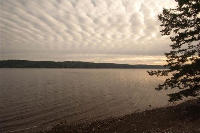 3 Lots Ne North Shore Rd Belfair Wa 98528 3 Lots Ne North Shore Rd Belfair Wa 98528