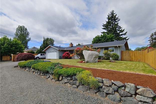 Tree Shrub Care Tree Disease Treatment Everett Wa Tree Care