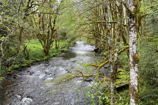 Paradise Falls, Pierce County, Washington - Northwest Waterfall Survey