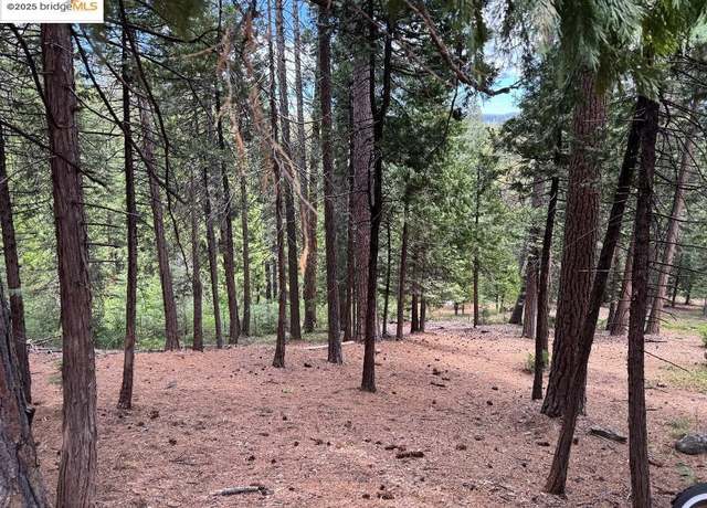 Property at 24871 Prospector Dr, Mi Wuk Village, CA 95346